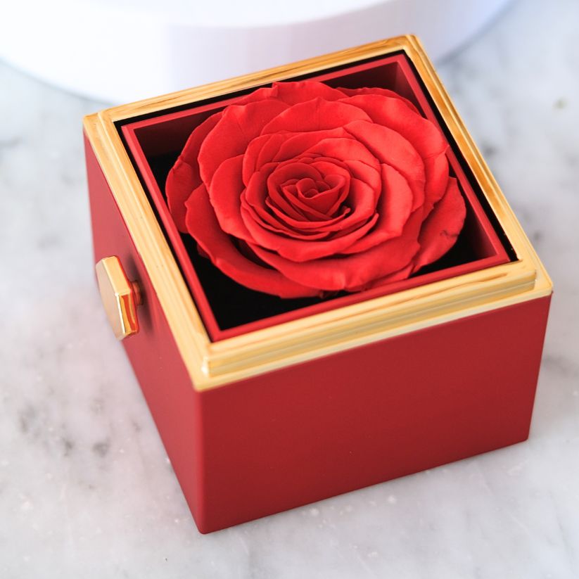 Mini Eternal Rose Box - Hug Necklace